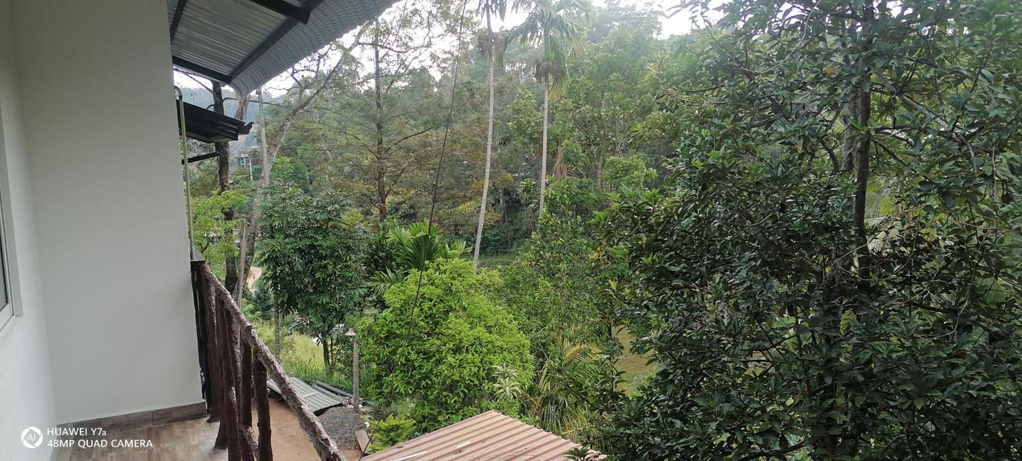 Isuru Homestay Ella Zewnętrze zdjęcie